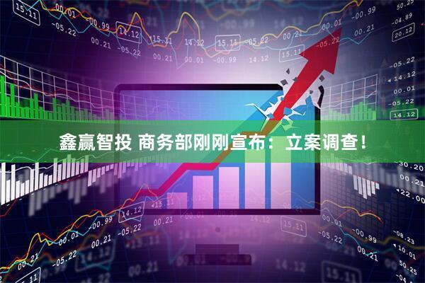 鑫赢智投 商务部刚刚宣布：立案调查！