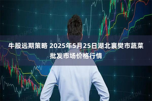 牛股远期策略 2025年5月25日湖北襄樊市蔬菜批发市场价格行情