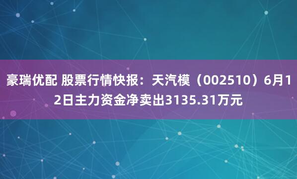 豪瑞优配 股票行情快报：天汽模（002510）6月12日主力资金净卖出3135.31万元